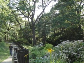 DSC08195.JPG